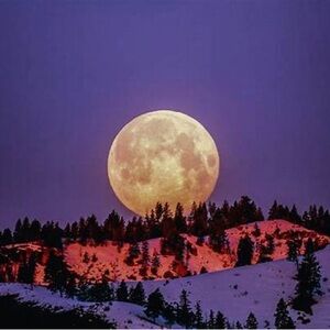 Trade for Jennifer!  🌞